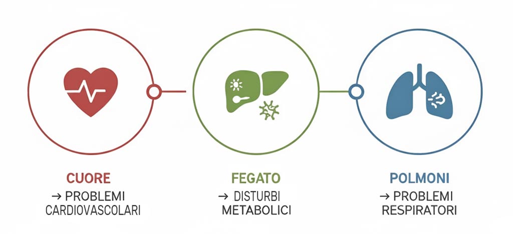 Infografica moderna con tre icone: cuore, fegato e polmoni, rappresentanti i rischi del sovrappeso, design pulito e minimalista, colori bilanciati rosso, verde e blu, sfondo chiaro, orizzontale.