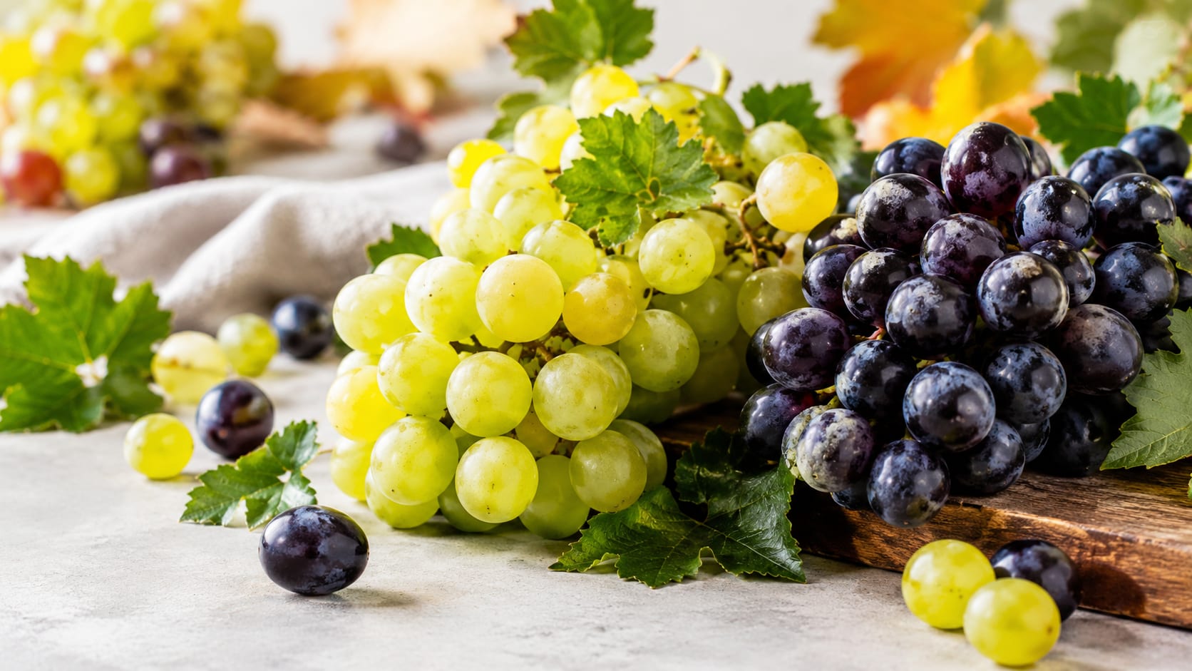 Grappolo di uva matura, frutto di stagione ricco di acqua e polifenoli